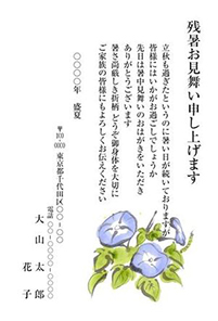 夏の絵手紙 あいさつ状印刷のポスコミ