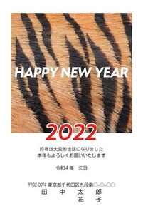 HAPPY NEW YEAR　虎の毛並み写真　A0000