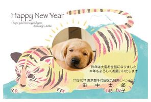 HAPPY NEW YEAR 2022　虎柄猫　写真入り　A0860